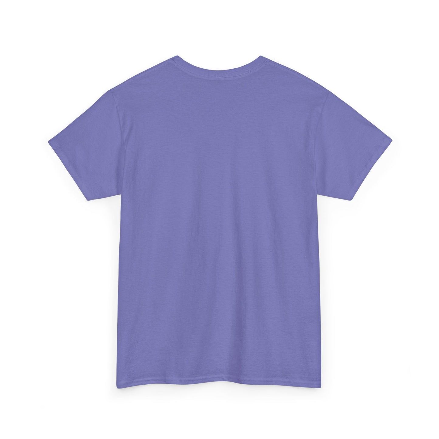 ZULU 29.92 Aviate Your Journey Shirt - Unisex Heavy Cotton Tee