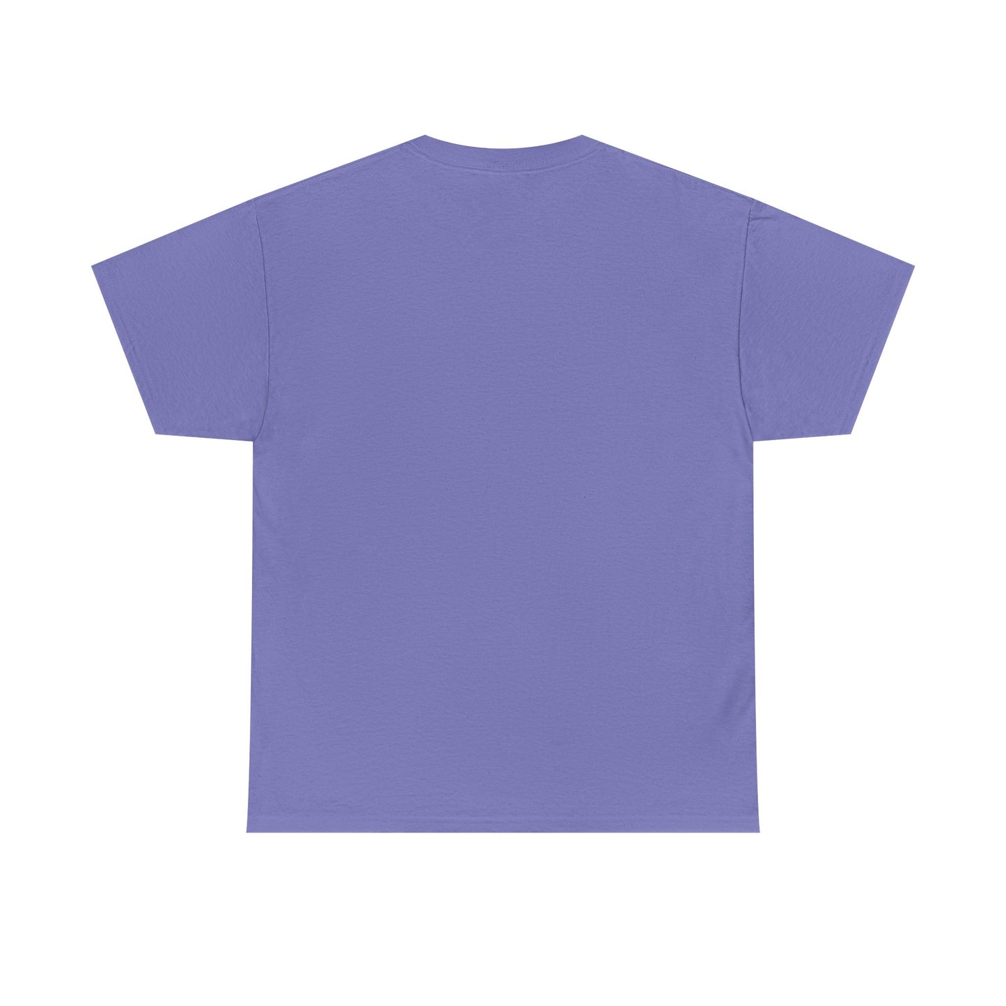 ZULU 29.92 Aviate Your Journey Shirt - Unisex Heavy Cotton Tee