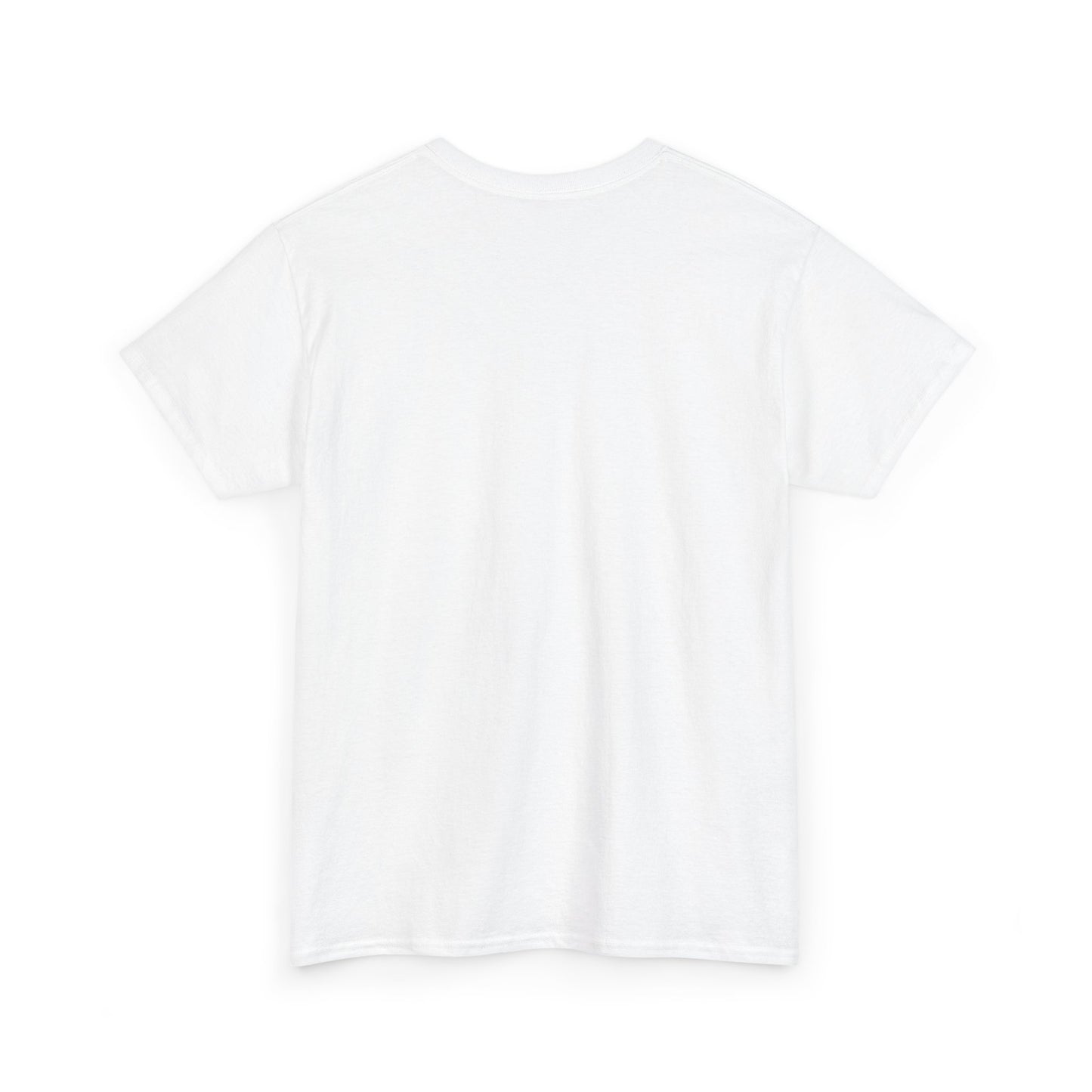 ZULU 29.92 Aviate Your Journey Shirt - Unisex Heavy Cotton Tee