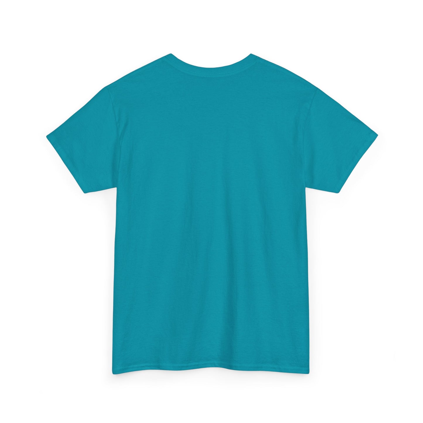 ZULU 29.92 Aviate Your Journey Shirt - Unisex Heavy Cotton Tee
