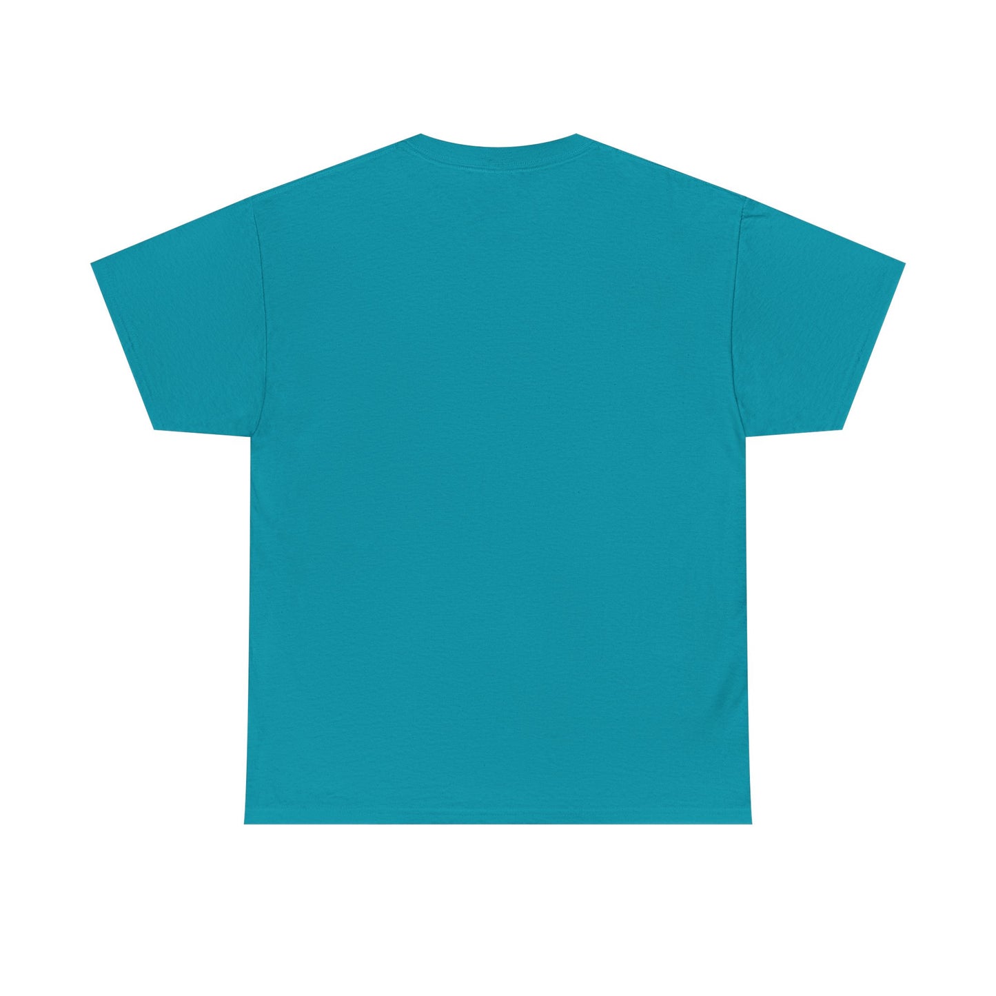 ZULU 29.92 Aviate Your Journey Shirt - Unisex Heavy Cotton Tee
