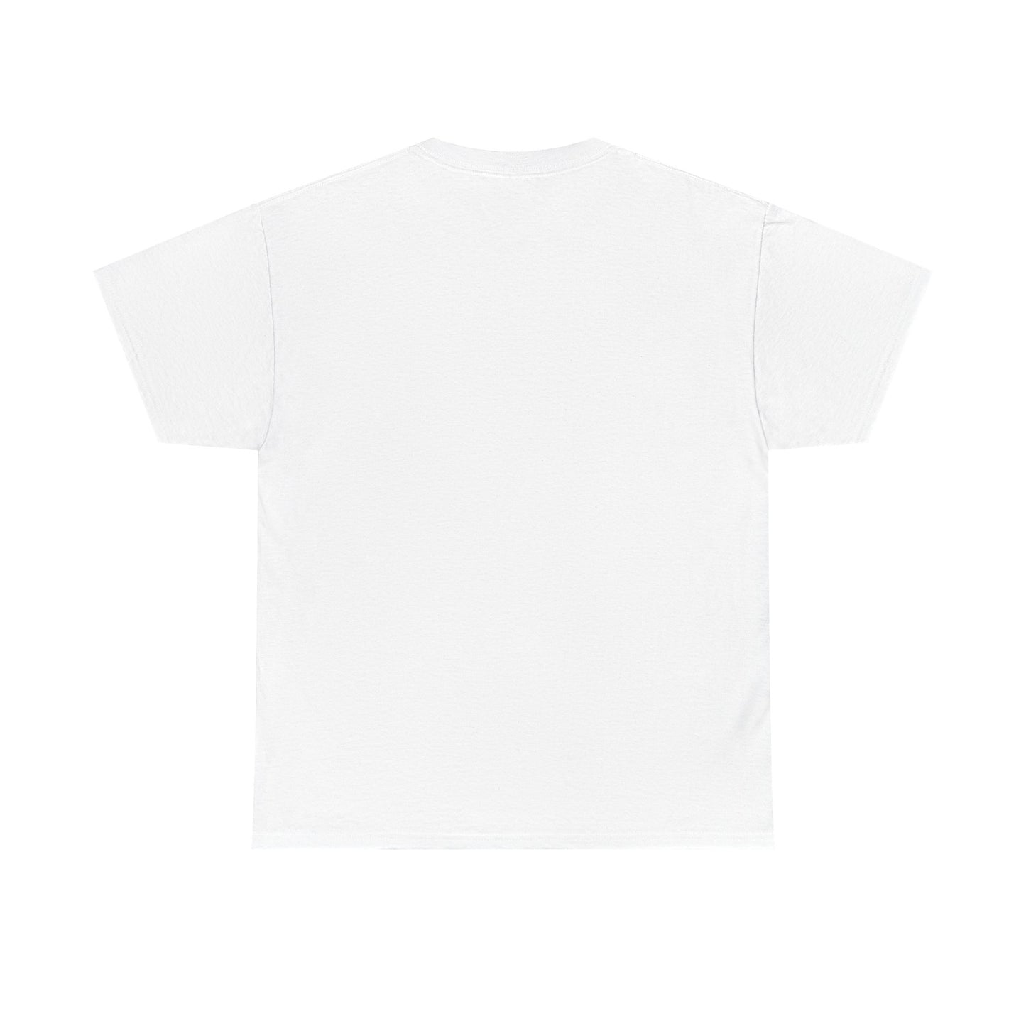 ZULU 29.92 Aviate Your Journey Shirt - Unisex Heavy Cotton Tee